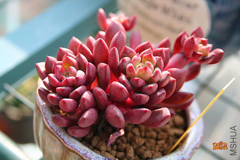 ��Ƭ 011_����.jpg