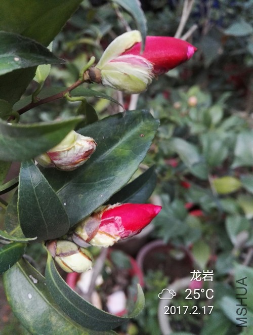 IMG_20170217_180320_����.jpg