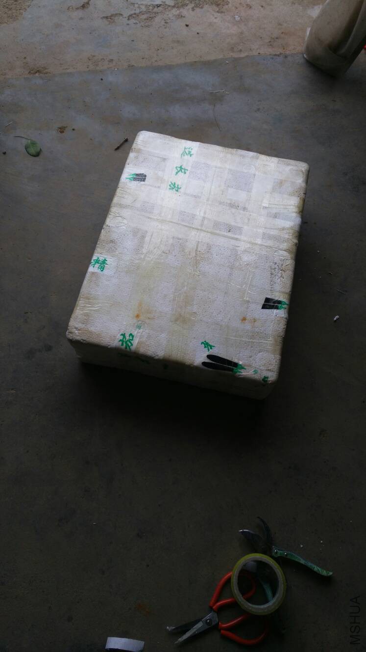 223127yxwhczf63xxwwhp1.jpg