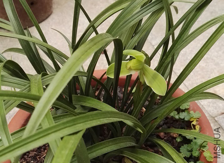 �ڴ������÷