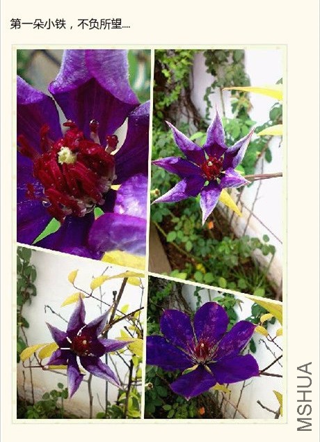 psb (11)_����.jpg