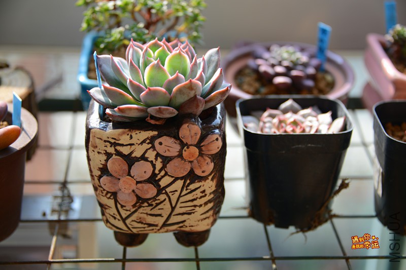 ��Ƭ 011_����.jpg