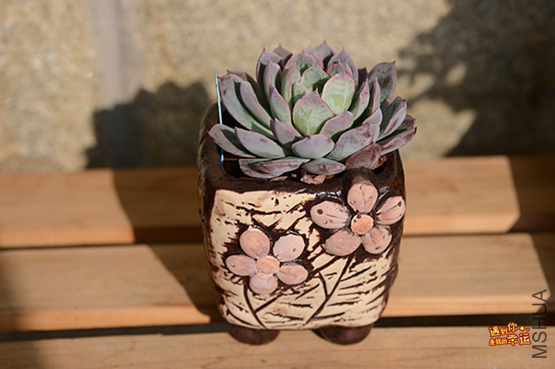 ��Ƭ 013_����.jpg