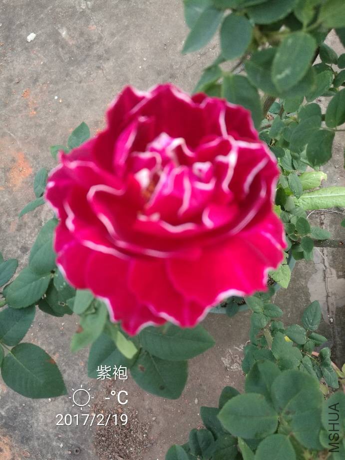 171630bxznzqymm33n33d4.jpg