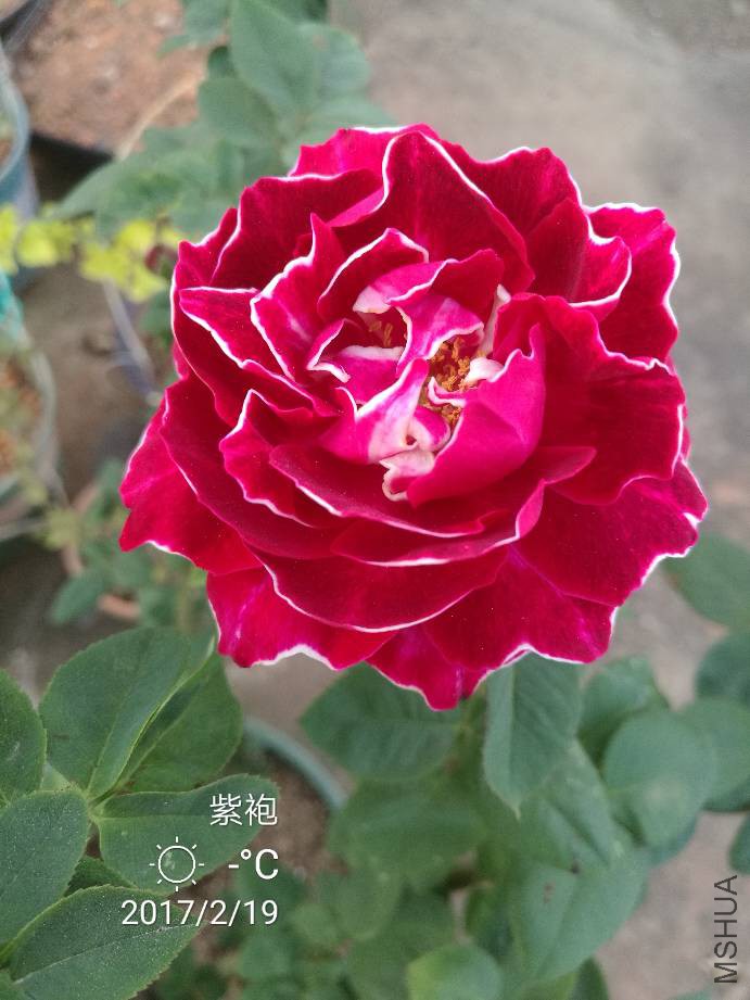 171630j6zu0i03ji016czy.jpg