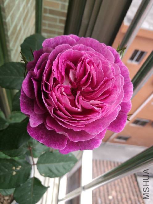 182607d3518earzf66rfph.jpg