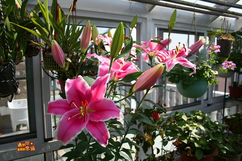 ��Ƭ 070_����.jpg