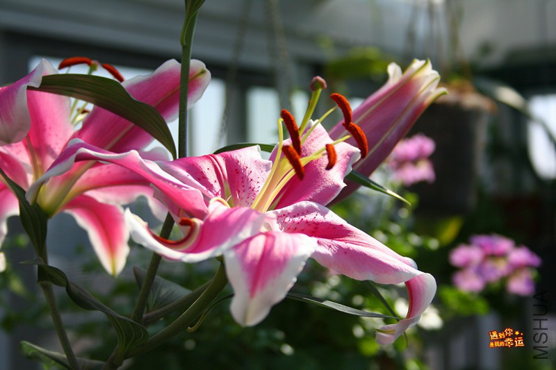 ��Ƭ 074_����.jpg