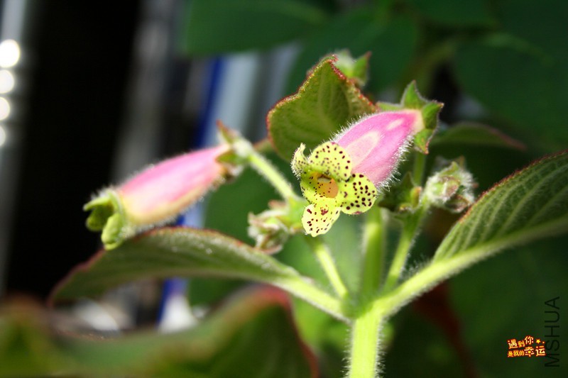 ��Ƭ 064_����.jpg