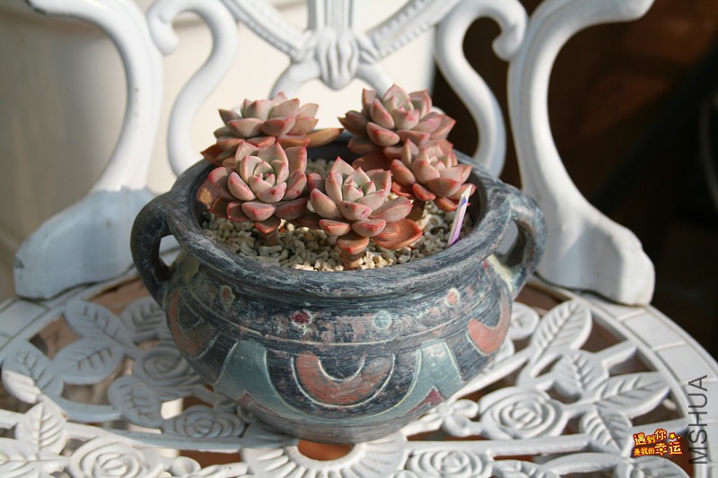 ��Ƭ 036_����.jpg