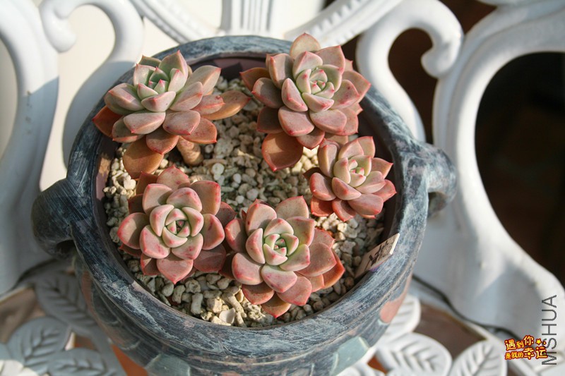 ��Ƭ 038_����.jpg