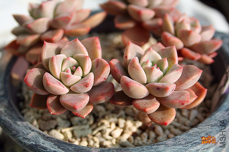 ��Ƭ 040_����.jpg