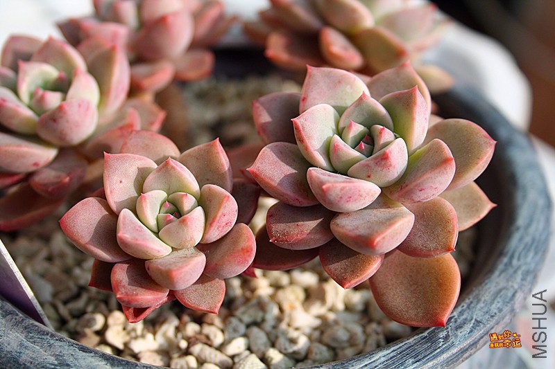 ��Ƭ 042_����.jpg