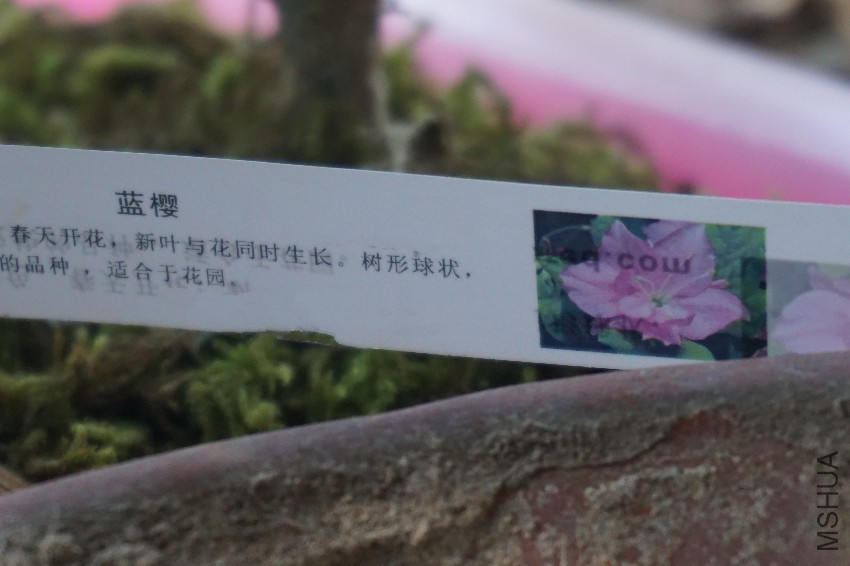 DSC00023_����.jpg