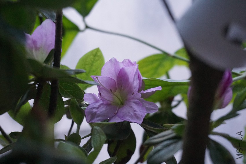 DSC00033.JPG
