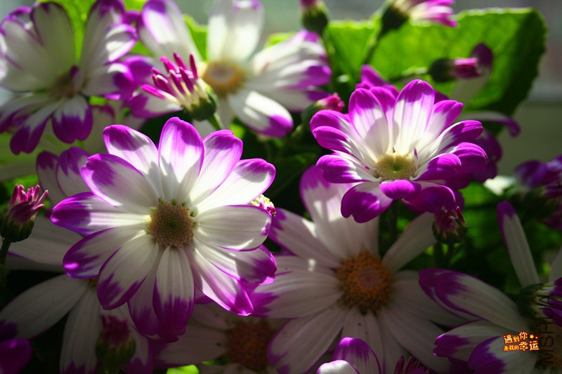 ��Ƭ 073_����.jpg