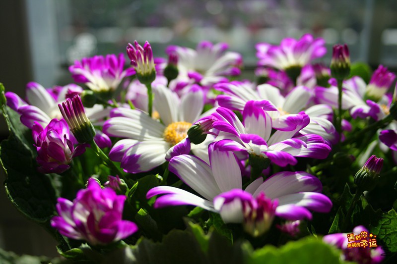 ��Ƭ 070_����.jpg