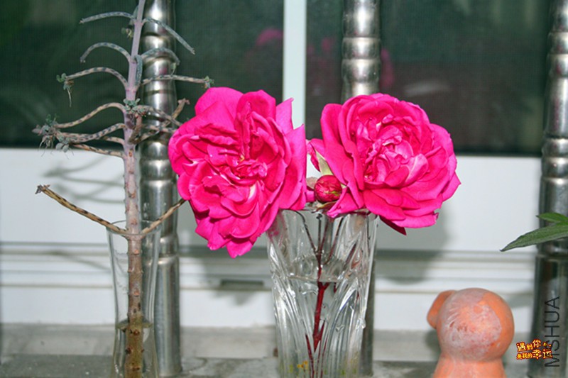 ��Ƭ 002_����.jpg