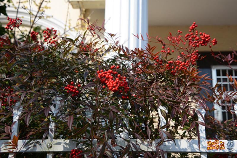 ��Ƭ 201_����.jpg