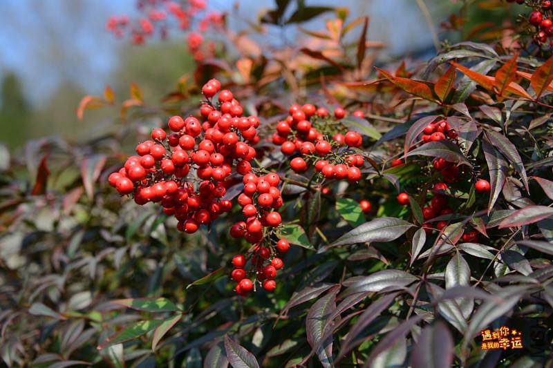 ��Ƭ 202_����.jpg