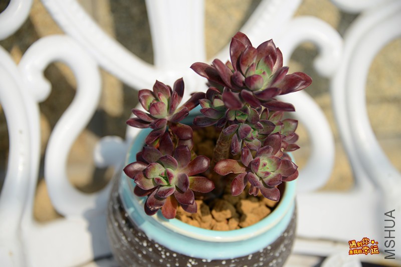 ��Ƭ 091_����.jpg