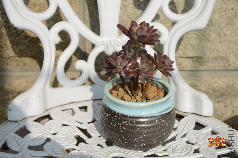 ��Ƭ 089_����.jpg