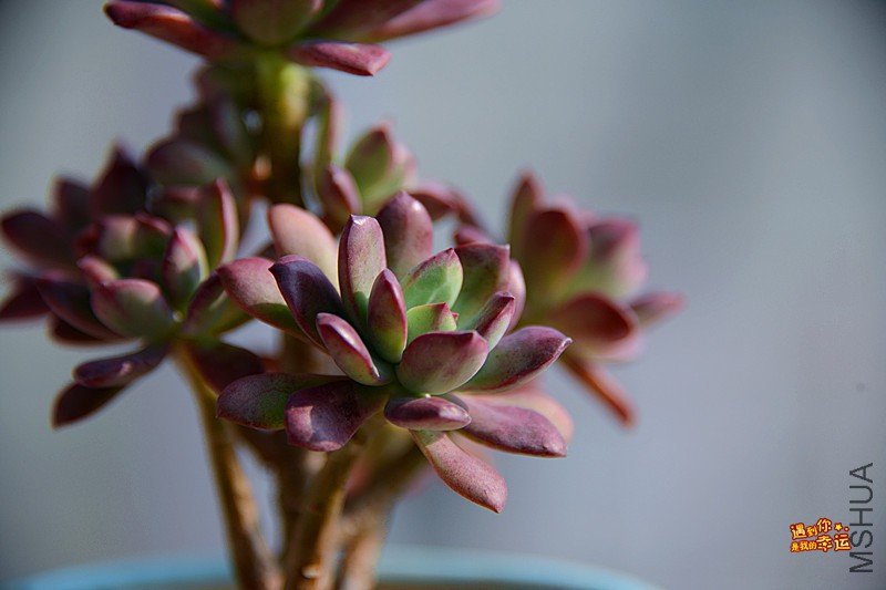 ��Ƭ 102_����.jpg