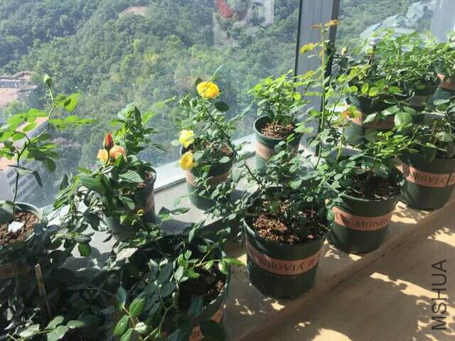 004420h0r8pz38q3duap0m.jpg