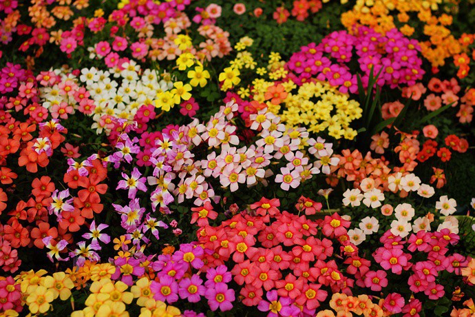 11 (10).jpg