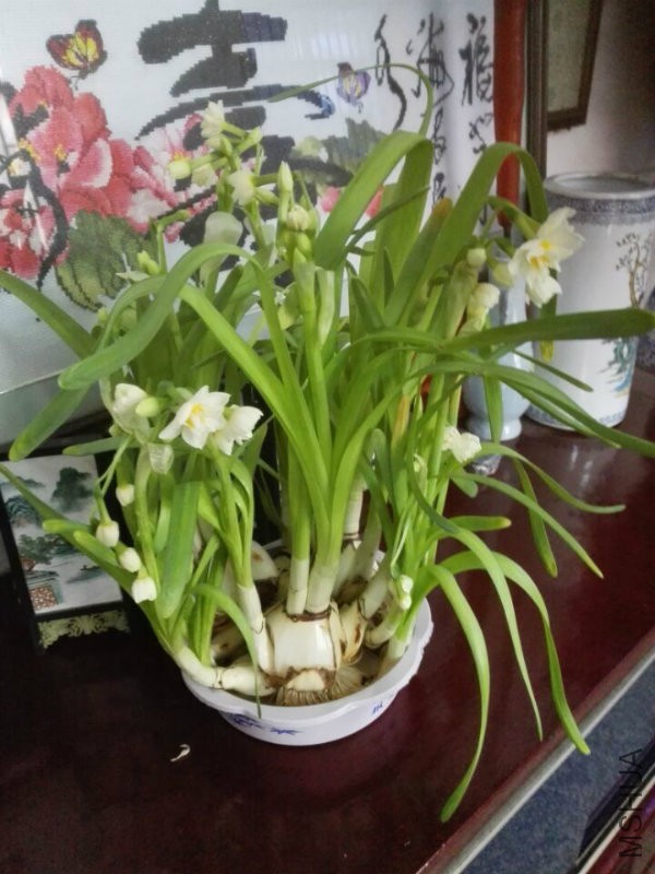 QQ图片20170221143340.jpg