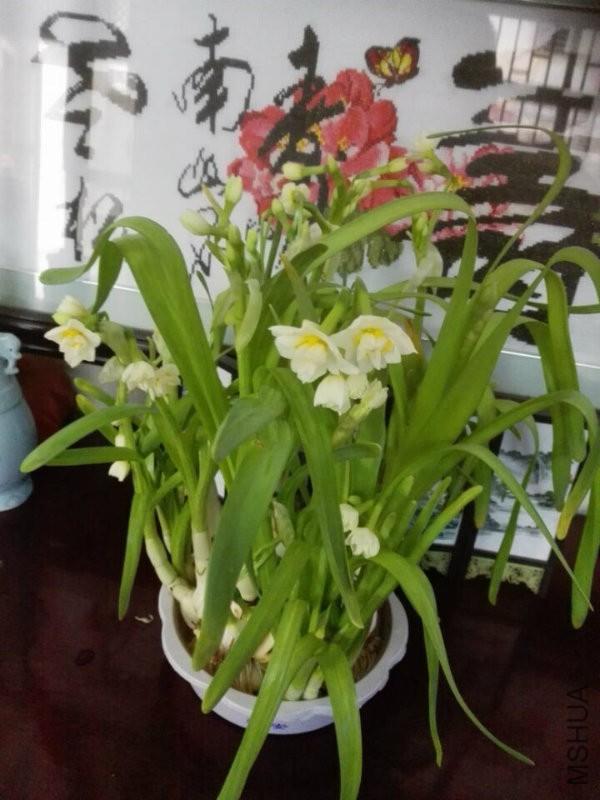 QQ图片20170221143344.jpg