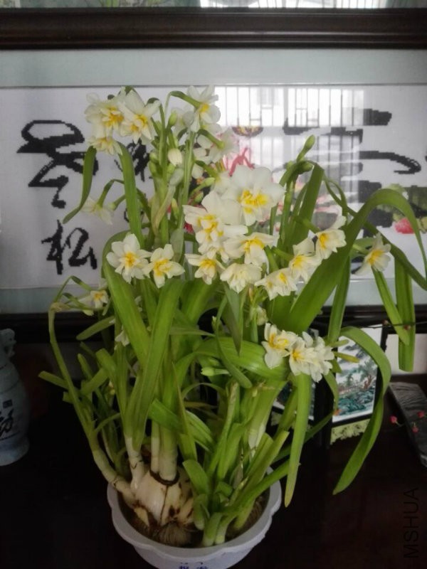 QQ图片20170221143348.jpg