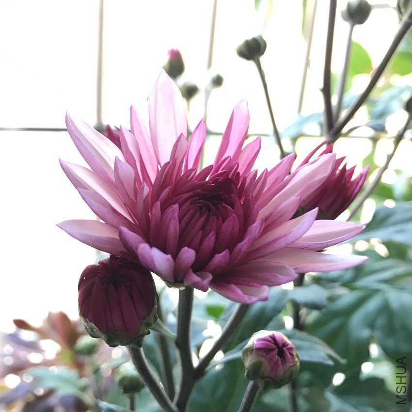 �۵���