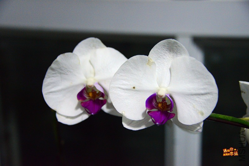 ��Ƭ 011_����.jpg