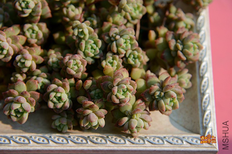 ��Ƭ 296_����.jpg