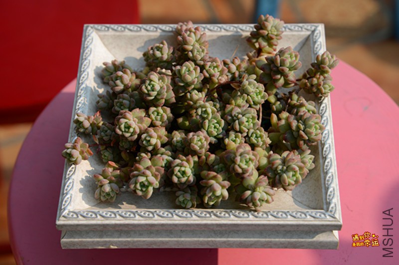 ��Ƭ 294_����.jpg