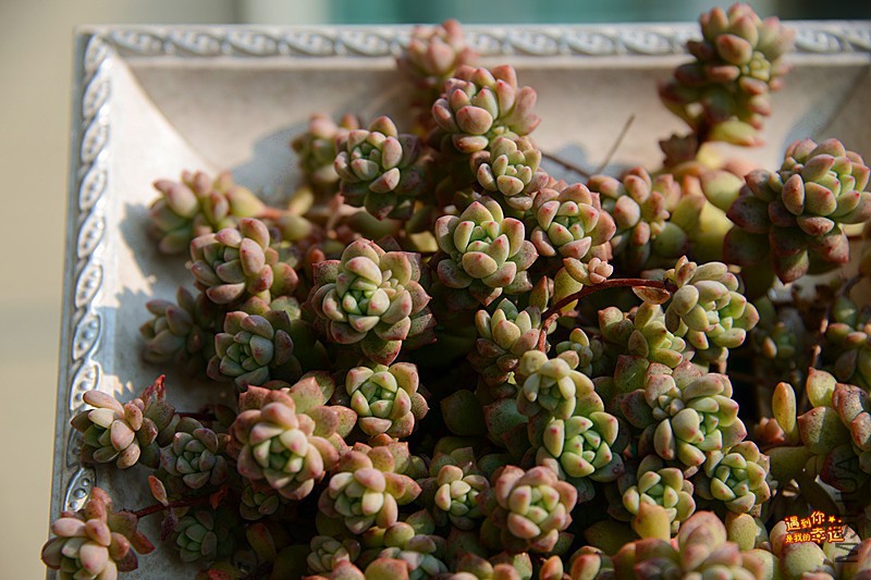 ��Ƭ 303_����.jpg