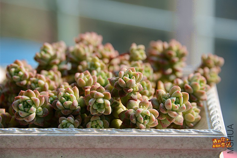 ��Ƭ 305_����.jpg