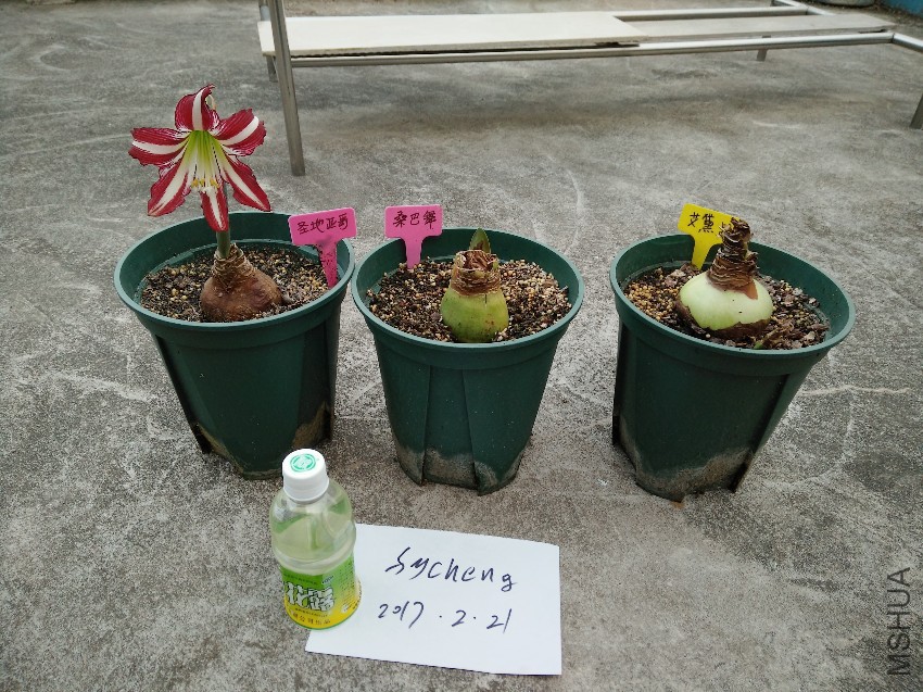 IMG20170221181428.jpg