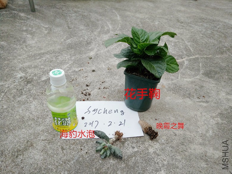 IMG20170221182431.jpg