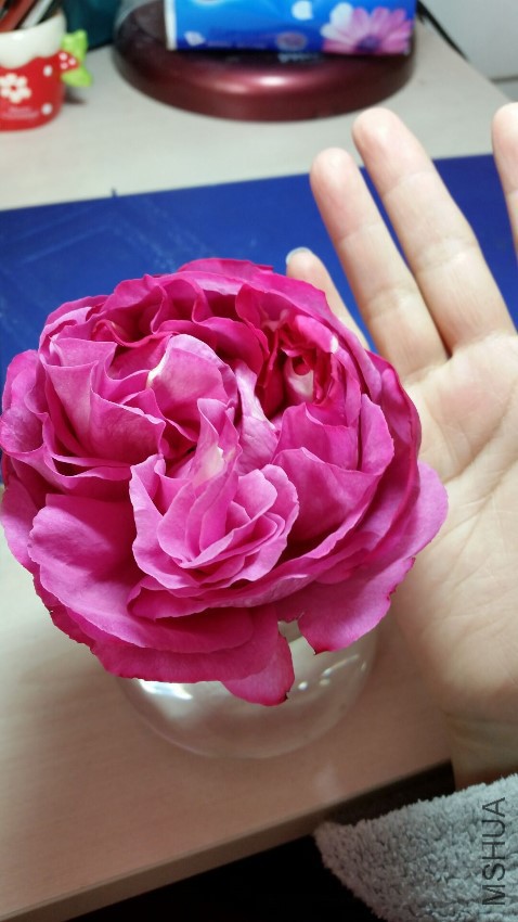 ������ 16 10 23 ���� (1).jpg