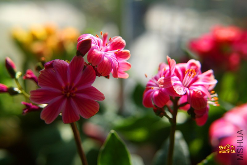 ��Ƭ 015_����.jpg