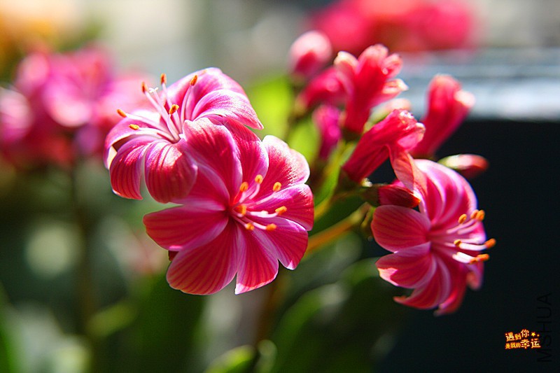 ��Ƭ 016_����.jpg