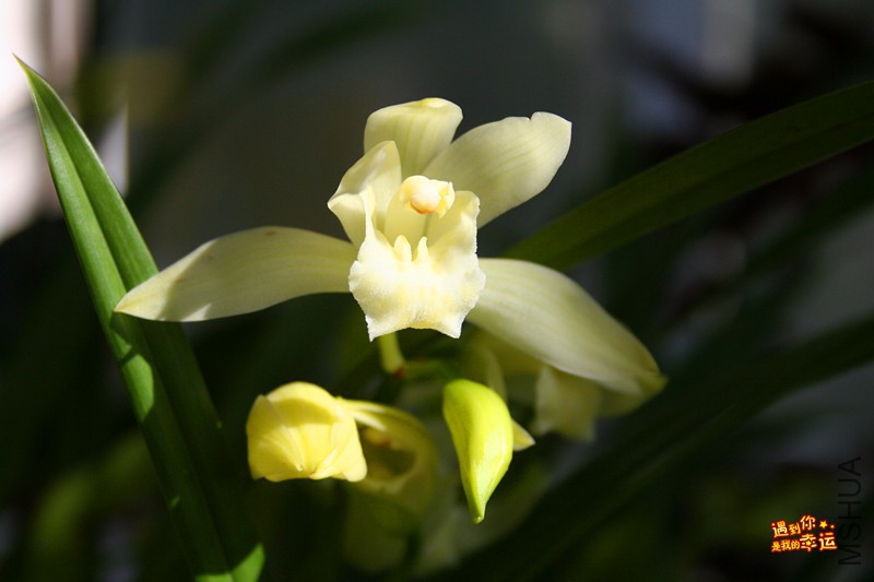 ��Ƭ 026_����.jpg