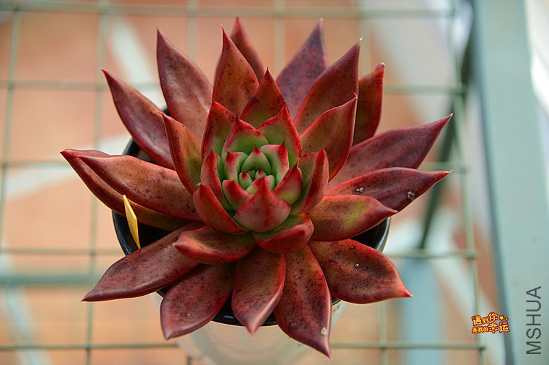 ��Ƭ 625_����.jpg