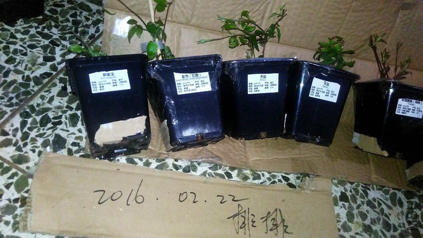 QQͼƬ20170222210705.jpg