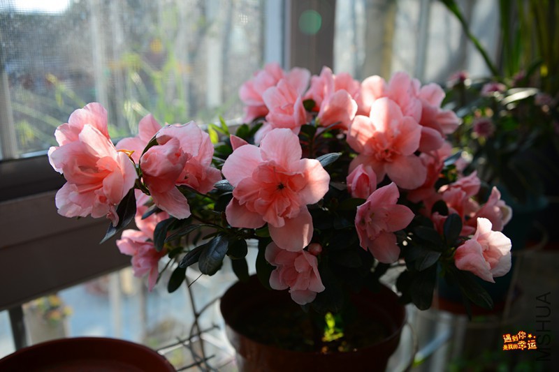 ��Ƭ 256_����.jpg