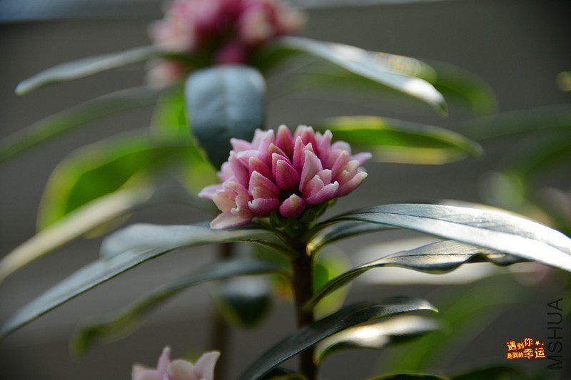 ��Ƭ 261_����.jpg