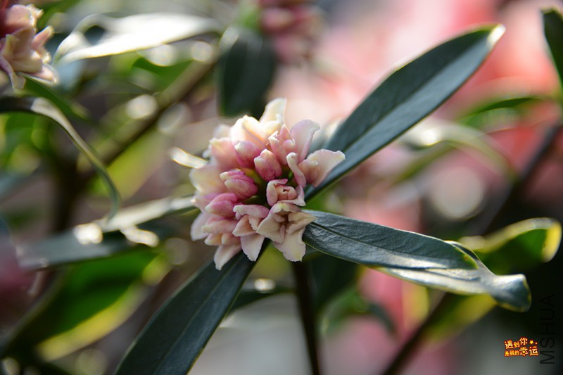 ��Ƭ 259_����.jpg