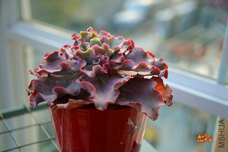 ��Ƭ 634_����.jpg